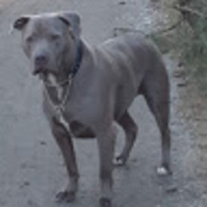 Meet your Posher, Warren